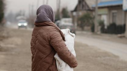 Titelbild zum Beitrag 